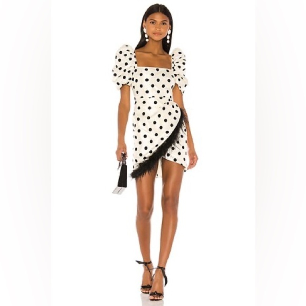 New! LPA Hailey Dress Black & White Polka Dots Mini Feather Dress 🖤 Small - Picture 4 of 15
